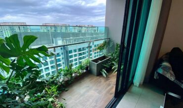 share phòng ở ghép feliz en vista