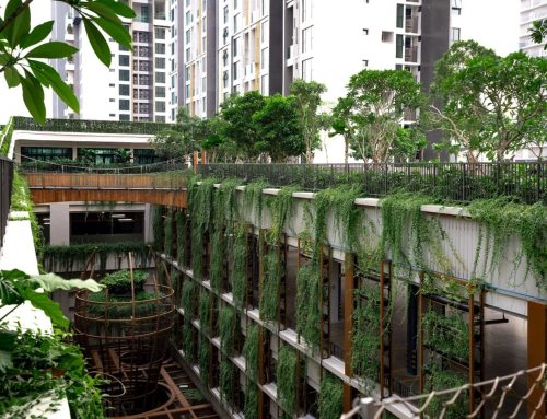 Cập nhật mới nhất tình trạng cấp Giấy chứng nhận quyền sở hữu (Sổ hồng) tại Feliz En Vista